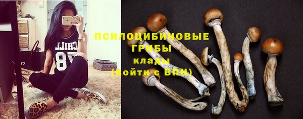 таблы Лабытнанги