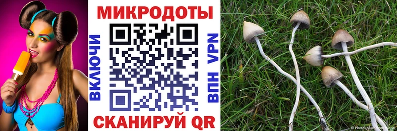 Псилоцибиновые грибы Psilocybine cubensis  где найти   kraken онион  Городище 